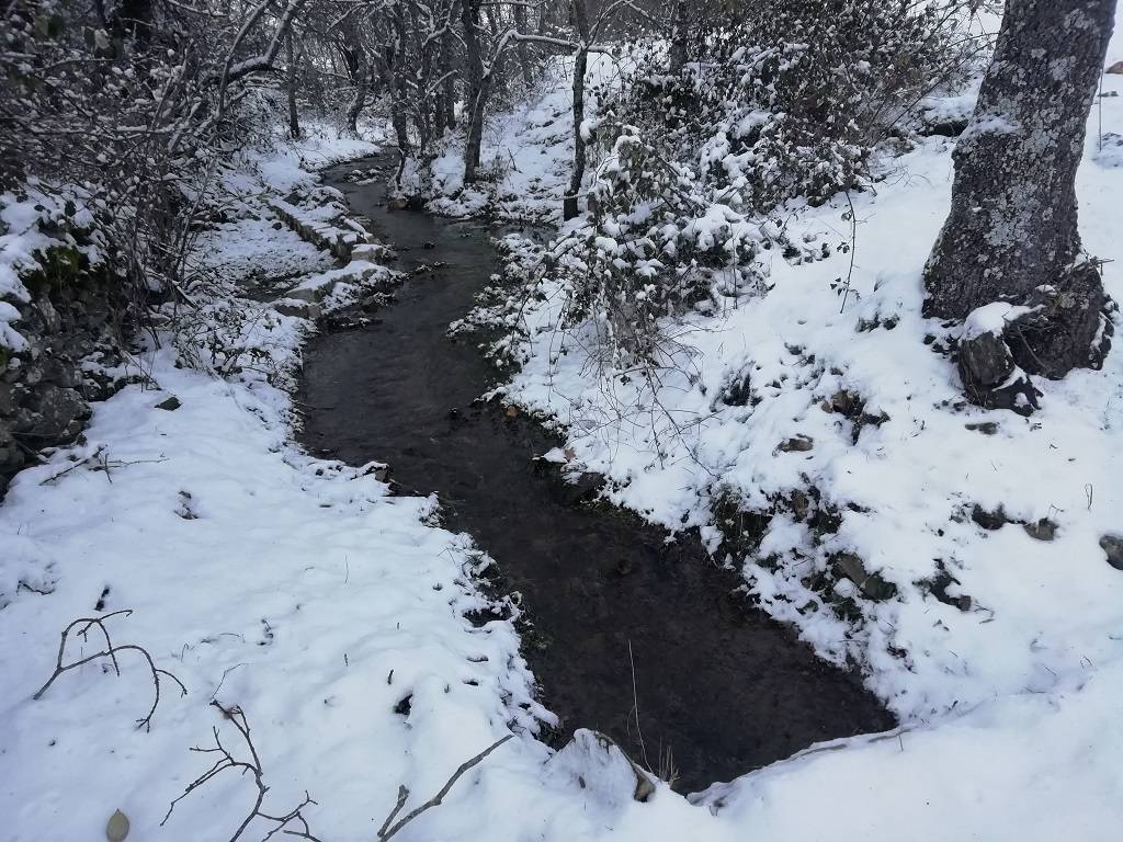 Reguera por la dehesa en invierno