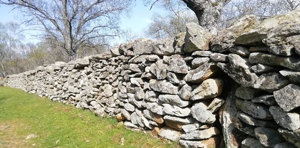 Muro de piedra en Aoslos