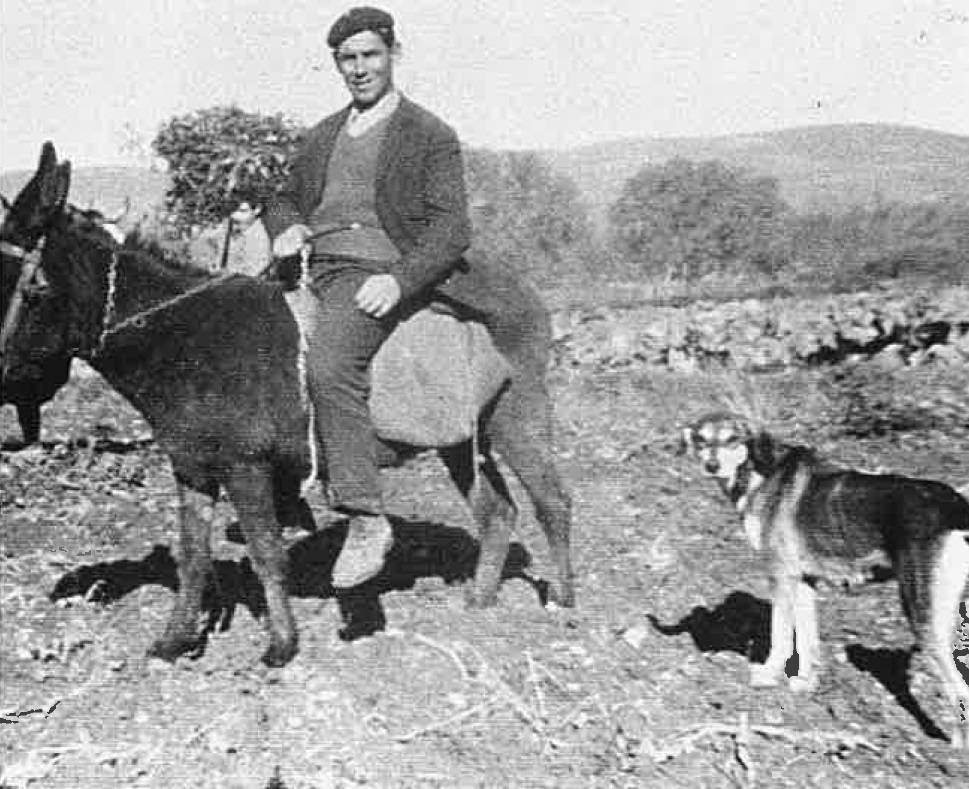 Eusebio Hernánz de regreso a casa con su perra Laica
