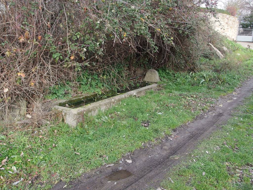 Fuente antigua de Horcajo de la Sierra