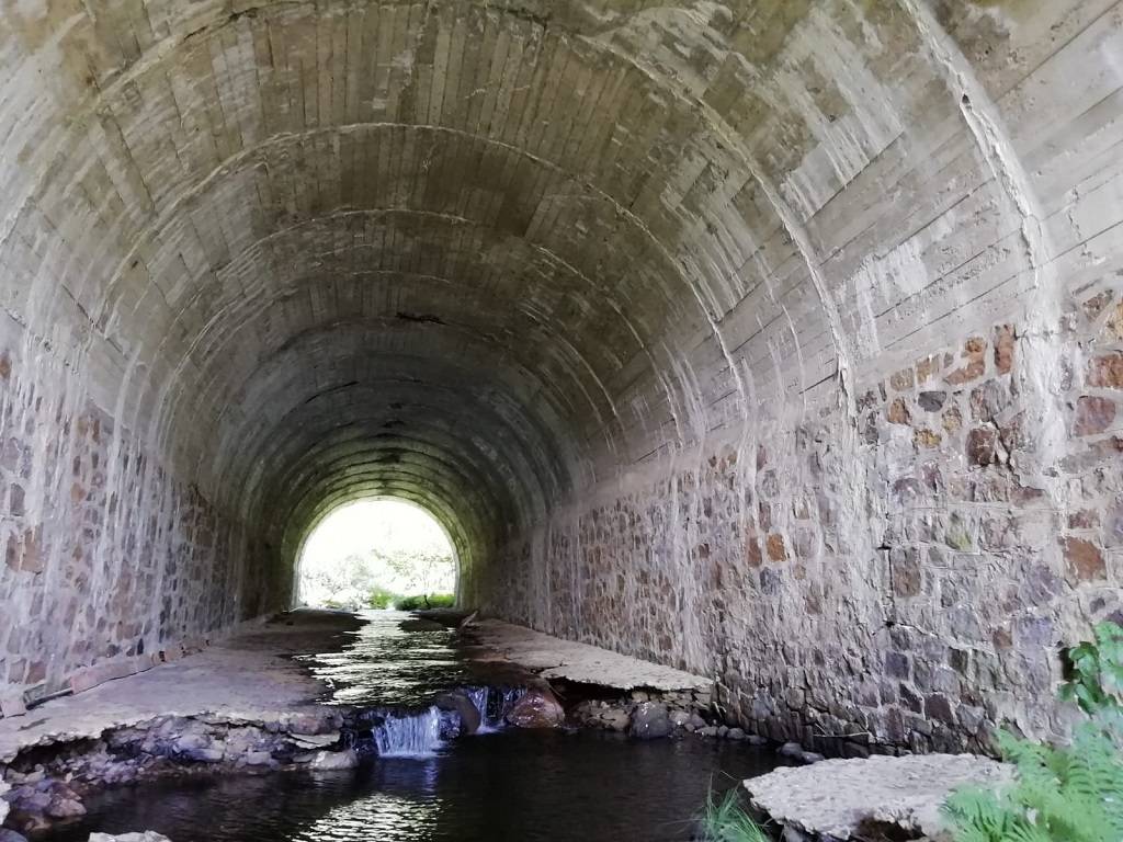 Puente de la Nacional 1