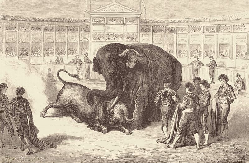 Combate entre un toro y un elefante (1862-3)