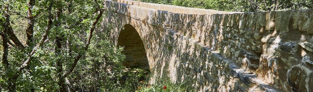 Puente del Camino Real de Francia