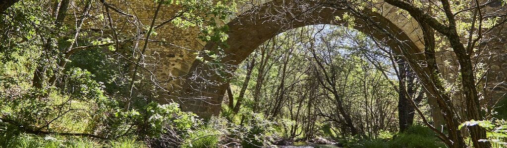 Puente del Camino Real de Francia en La Tejera